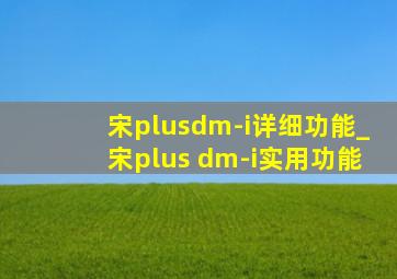 宋plusdm-i详细功能_宋plus dm-i实用功能
